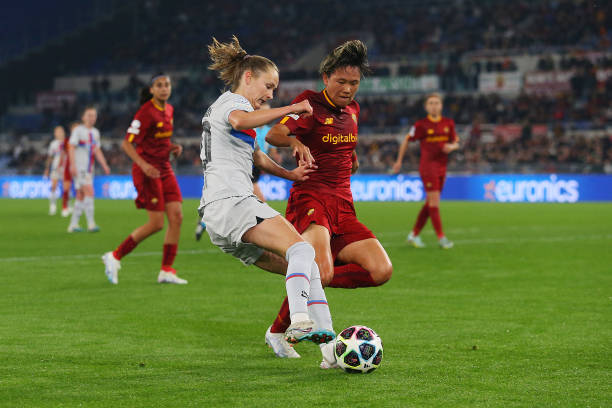 引了众多来 引了众多来